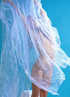 Голая баба с волосатым лобком